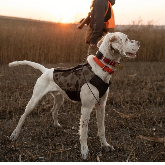 Carhartt Neoprene Dog Vest - Picture 2 of 13